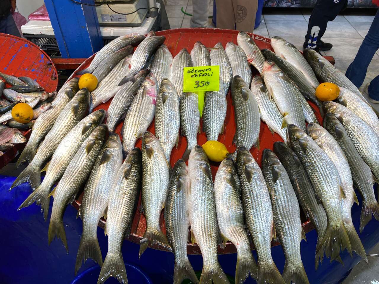 Menteşe’de Balığa Yoğun İlgi: Tezgahlarda Fiyatlar 250 Liradan Başlıyor 3